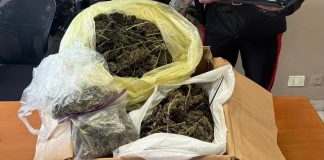 Revere, il cane Perla fa arrestare sorvegliato speciale con un kg di droga