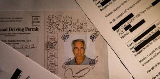 Epstein, nuovi dettagli: finanziere ‘orchestrò’ relazione tra fratello di Musk e una donna