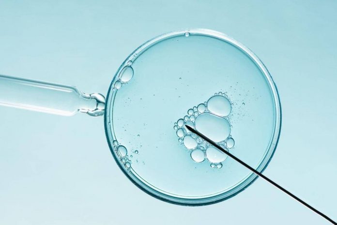 fecondazione_assistita_canvafree