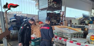 Pomponesco, discarica abusiva in un capannone: Forestali sequestrano 10mila quintali di scarti