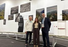 Sicurezza stradale, Giana (Aspi): “Lavoriamo ogni giorno per garantire utilizzo sicuro infrastruttura autostradale”