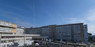 Sanità, 13 ospedali italiani fra i primi 250 del mondo: Gemelli il più alto nel ranking