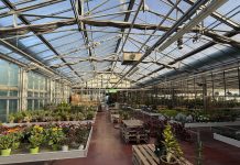 Suzzara, Green & Flower’s inaugura l’anno con un workshop dedicato al kokedama