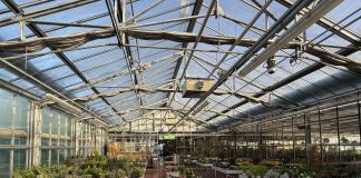 Suzzara, Green & Flower’s inaugura l’anno con un workshop dedicato al kokedama