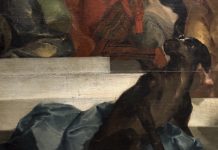 A Palazzo d’Arco i cani dipinti di Bazzani: mostra per riscoprire il maestro barocco
