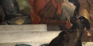 A Palazzo d’Arco i cani dipinti di Bazzani: mostra per riscoprire il maestro barocco