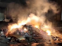 Incendio nella notte a Mantova, cartoni in fiamme in un capannone