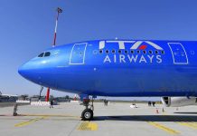 Cani in aereo, in cabina anche gli animali domestici di grossa taglia: il servizio Ita, come funziona