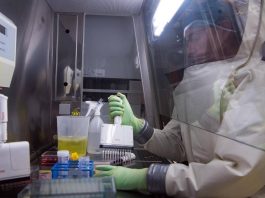 Virus Nipah, studio italiano: sorveglianza in tempo reale per prevenire nuovi focolai