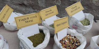 Cuore e colesterolo, l’effetto dei legumi: da lenticchie e ceci a fagioli e piselli, le proprietà