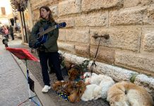 Dieci cani e una chitarra, Mara porta la sua arte nel cuore di Mantova