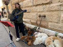 Dieci cani e una chitarra, Mara porta la sua arte nel cuore di Mantova