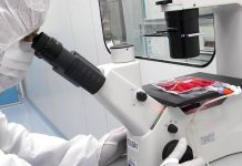 Studio del Bambino Gesù dimostra l’efficacia delle cellule Car-T nelle malattie autoimmuni dell’età pediatrica