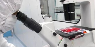 Studio del Bambino Gesù dimostra l’efficacia delle cellule Car-T nelle malattie autoimmuni dell’età pediatrica