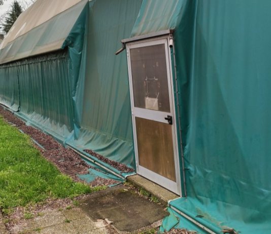 Porto, infiltrazioni al “Pallone”, Voi e Pernigotti: “Inutilizzabile se piove. Subito fondi per riqualificarlo”