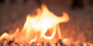 Nomisma, una famiglia su due considera il calore a biomassa in alternativa al gas
