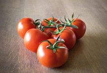 Arrivano i pomodori egiziani, medico-nutrizionista: “Quelli italiani più buoni e sicuri”