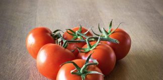 Arrivano i pomodori egiziani, medico-nutrizionista: “Quelli italiani più buoni e sicuri”