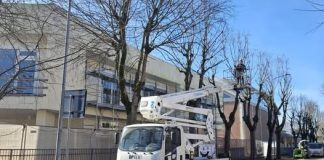 Moglia, potature in corso su 228 alberi nelle aree verdi e strade comunali