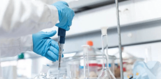 Ricerca: Leucemia linfatica cronica, contro resistenza a farmaci scoperta molecola UVI5008