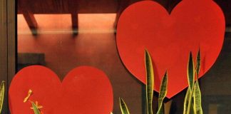L’amore fa bene al cuore, lo dice la scienza: ecco cosa cambia se si è in coppia