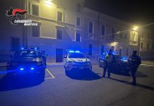 Suzzara, controlli congiunti di Carabinieri e Polizia Locale sul territorio