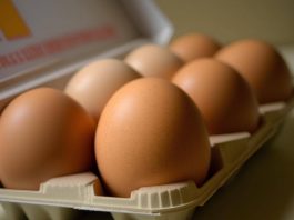 Uova fresche ritirate dal mercato per salmonella, marca e lotti interessati: “non consumatele”