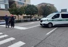 Viabilità modificata per Mantova–Sampdoria: maxi‑ordinanza per la sicurezza allo stadio