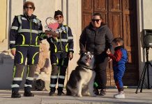 Quingentole in festa con il “Carnevale dei Superpoteri” e la sfilata dei cani in maschera