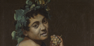 “Inventare la Natura”: Palazzo Te porta a Mantova Leonardo, Arcimboldo e Caravaggio