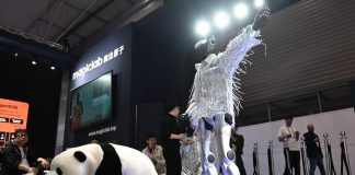 Fey (Norwegian Business School), priorità della Cina è crescita di alta qualità