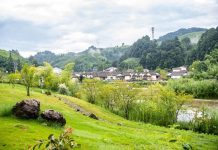 Cina, obiettivo accelerare sullo sviluppo sostenibile nel prossimo quinquennio