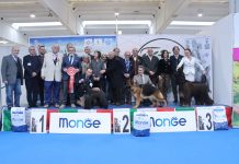 Il Kerry Blue Terrier Brykar Tramore trionfa all’Expo Canina in Millenaria
