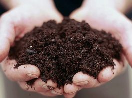 L’assessore Beduschi promuove il digestato come risorsa strategica ed ecologica