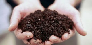 L’assessore Beduschi promuove il digestato come risorsa strategica ed ecologica