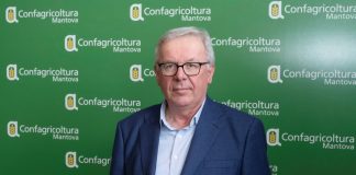 Confagricoltura Mantova allarme pomodoro industria tra prezzi bassi e rincari della guerra