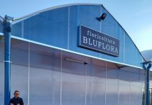 Quingentole riabbraccia Bluflora: il garden rinasce a dieci mesi dal terribile incendio