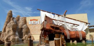 Oltre 49 milioni di giocatori, ora Animal Crossing protagonista anche a Gardaland