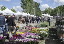 Sabbioneta protagonista a Georgica 2026 tra sogni rinascimentali e tour teatrali emozionali