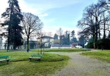 Suzzara, parco Aronne Verona chiuso per processionaria ordinanza di bonifica anche per privati