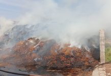 Tabellano, incendio in un’azienda agricola: in fiamme una concimaia