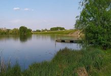 Escursione nel Regno di Mezzo: alla scoperta della natura con il Wwf Mantovano