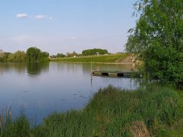 Escursione nel Regno di Mezzo: alla scoperta della natura con il Wwf Mantovano