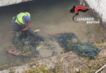 Marengo, sorpresi a pescare di frodo con le reti: due denunciati per bracconaggio ittico