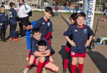 Il Minirugby del Mantova Rugby brilla al Torneo Ferraretto tra sport e divertimento