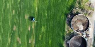 Infrastrutture e sviluppo rurale: dal GAL Terre del Po contributi da 1,5mln