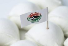 Mozzarella di bufala e jabugo dop, a Barcellona il gemellaggio europeo del gusto