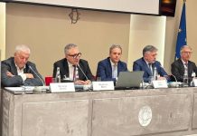 Energia, Bufo (Iren): “Stop Ue a Ppp taglia trasversalmente settori, va trovata soluzione”