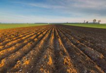 Ismea, riparte ‘Generazione Terra’, 120 mln per giovani agricoltori nel 2026