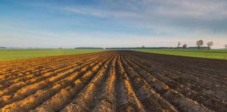 Taglio INAIL per gli imprenditori agricoli, Confagricoltura: “boccata d’ossigeno in un momento difficile”